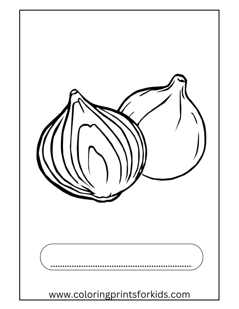 ONION COLORING PAGES FOR KIDS