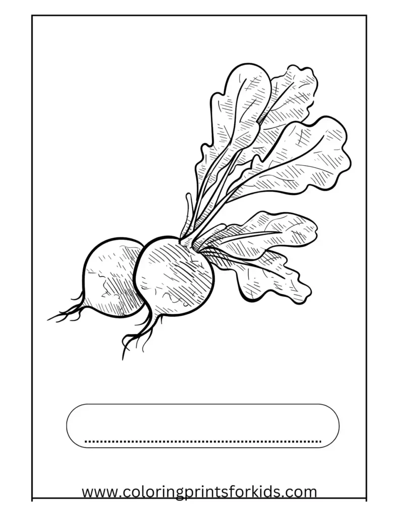 beets coloring pages for free to download